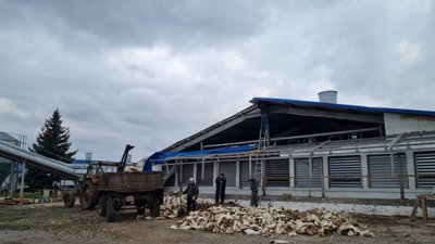 На Донеччині знищили підприємство із виробництва яєць