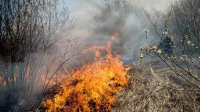 На Львівщині за добу виникло 36 пожеж в екосистемах