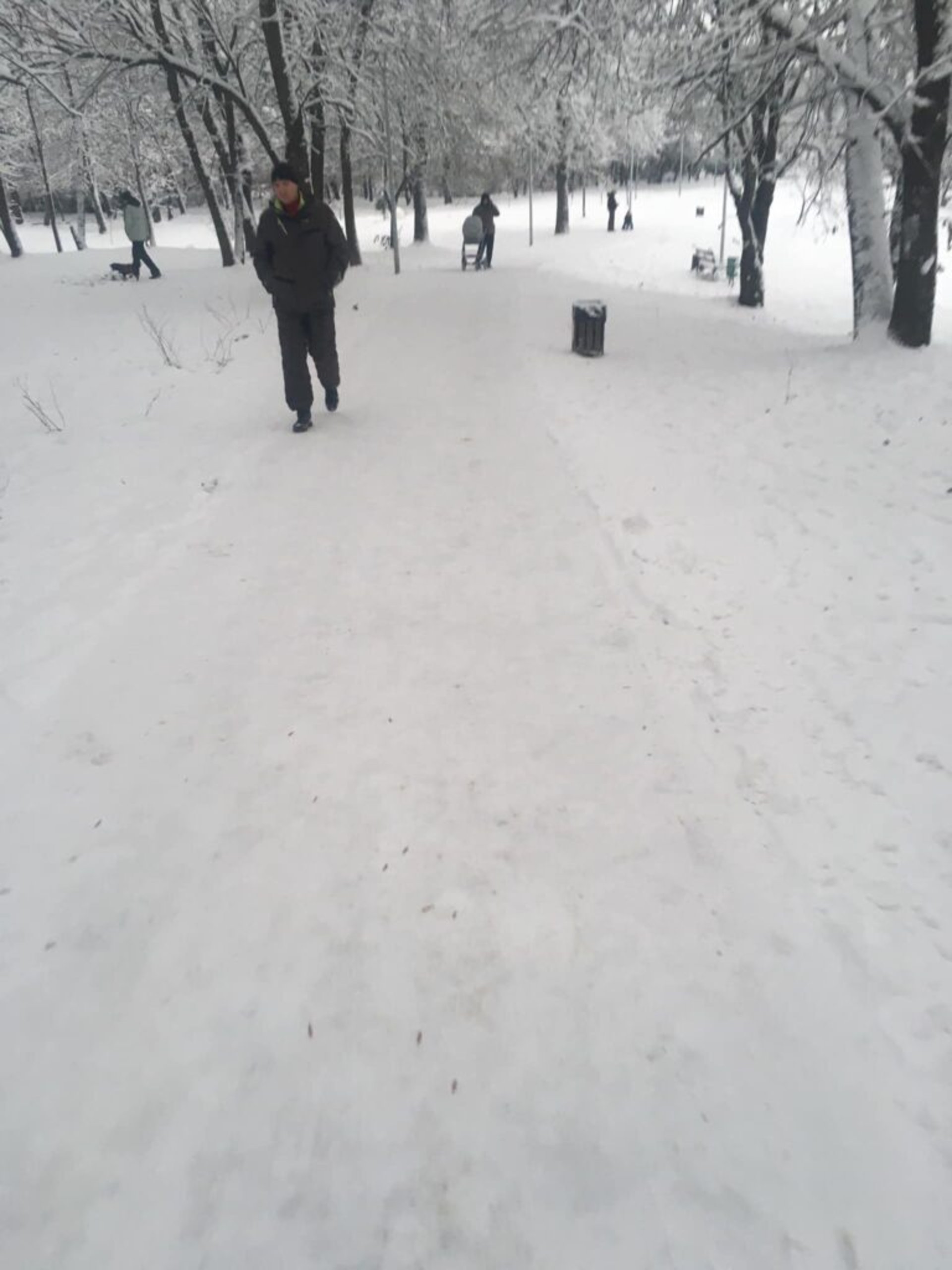 У Львові комунальники вибірково посипають пішохідні доріжки, фото ГЛМЛ