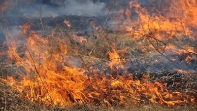 На Львівщині за добу 13 разів горіла суха трава