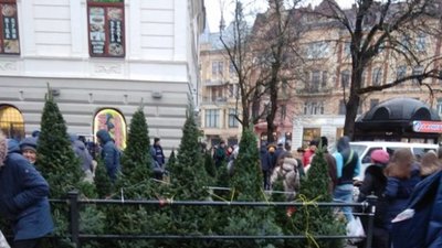 В Україні збитки через незаконний продаж ялинок сягнули понад 400 тисяч гривень