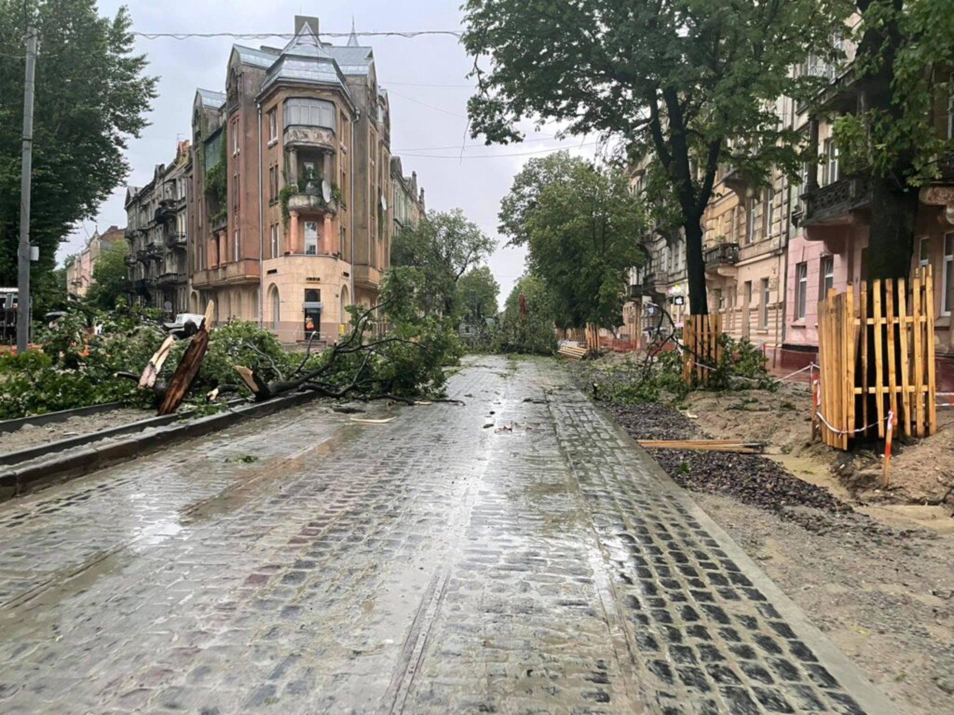 У Львові на вулиці Степана Бандери негода повалила дерева, фото Зручне місто