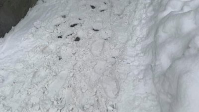 Львів продовжує потопати у снігу (ФОТО)