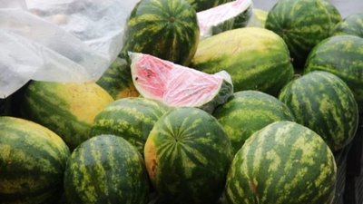 У Львові стартували аукціони на місця для сезонної торгівлі кавунами та динями