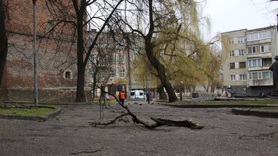 У Дрогобичі вітром знесло дахи з шести будинків, жителі 17 вулиць без світла
