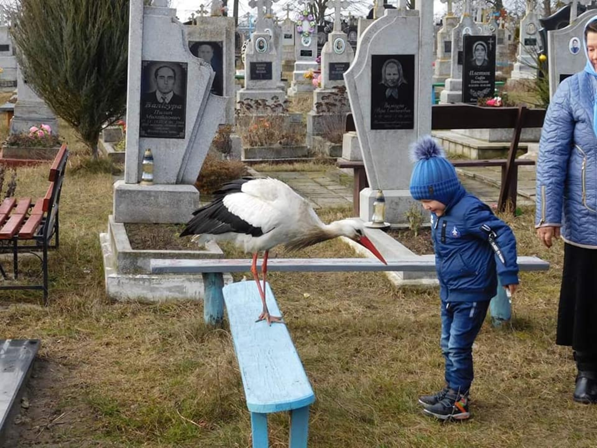 Фото: "ВЗ"
