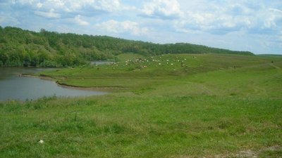 На Мостищині прокуратура повернула державі 4 га землі вартістю понад 3,8 млн грн