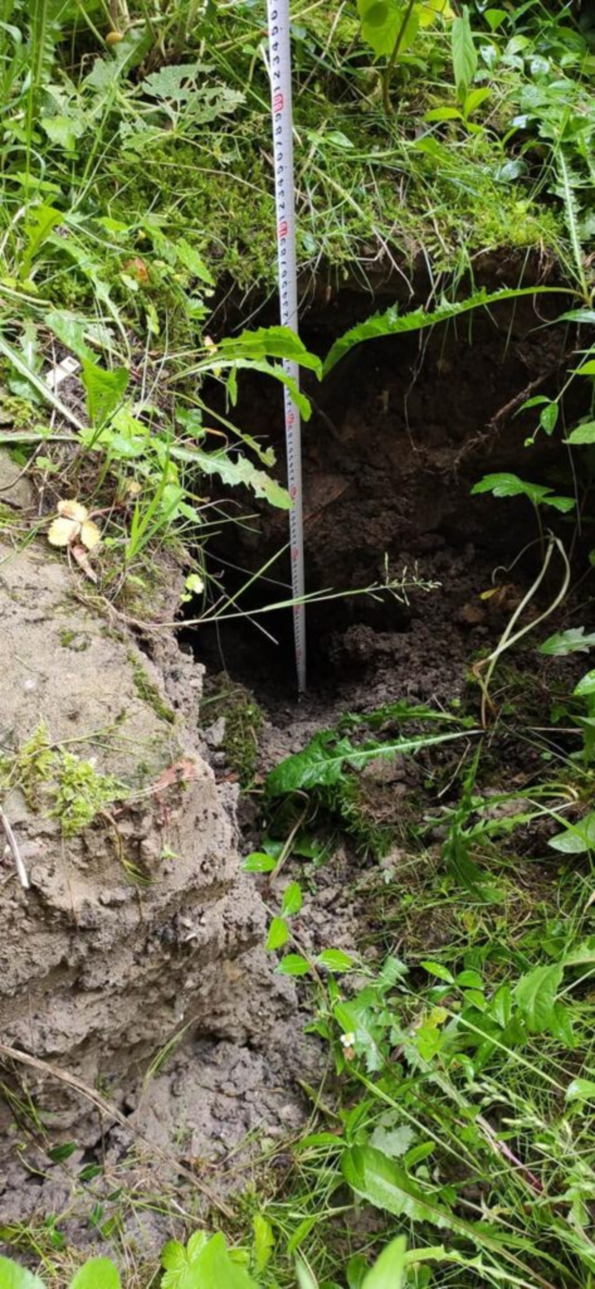 У Львові на місці утворення провалля облаштували дощоприймач, фото ГЛМЛ