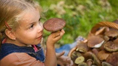 На Львівщині троє малолітніх дітей отруїлися грибами