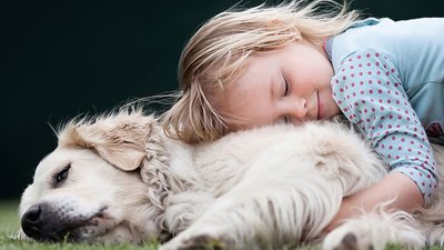 У ветеринарному університеті відкрито центр підготовки фахівців з анімалотерапії