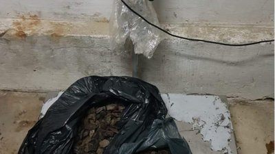 На Львівщині у громадянина України вилучили 17 кг контрабандного бурштину (ВІДЕО)