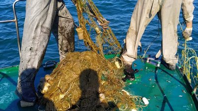 В акваторії Чорного моря виявили браконьєрські знаряддя лову (ФОТО, ВІДЕО)