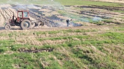 На Сокальщині фермери палять сухостій (ВІДЕО)