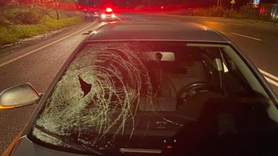 На автошляхах Львівщини за минулу добу загинув пішохід (ФОТО)