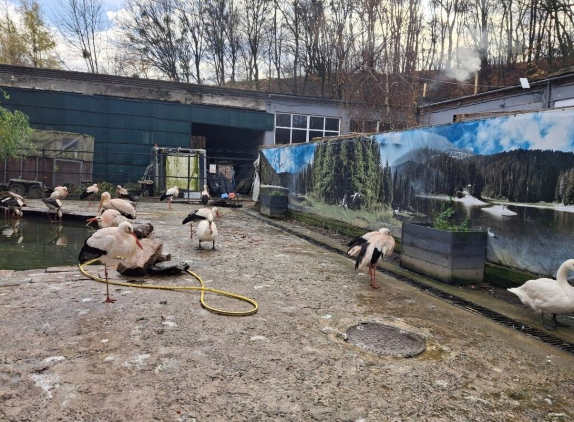 Притулок для тварин. Фото Дмитро Колос