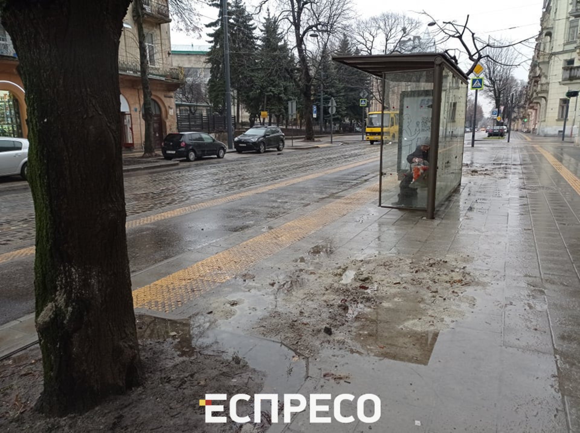 У Львові на вулиці Степана Бандери не зробили стоки води