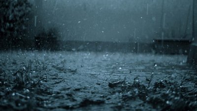 На Львівщині чоловік, який шукав прихистку від дощу, став жертвою смертельної ДТП