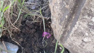 У Львові затримали ймовірного закладчика