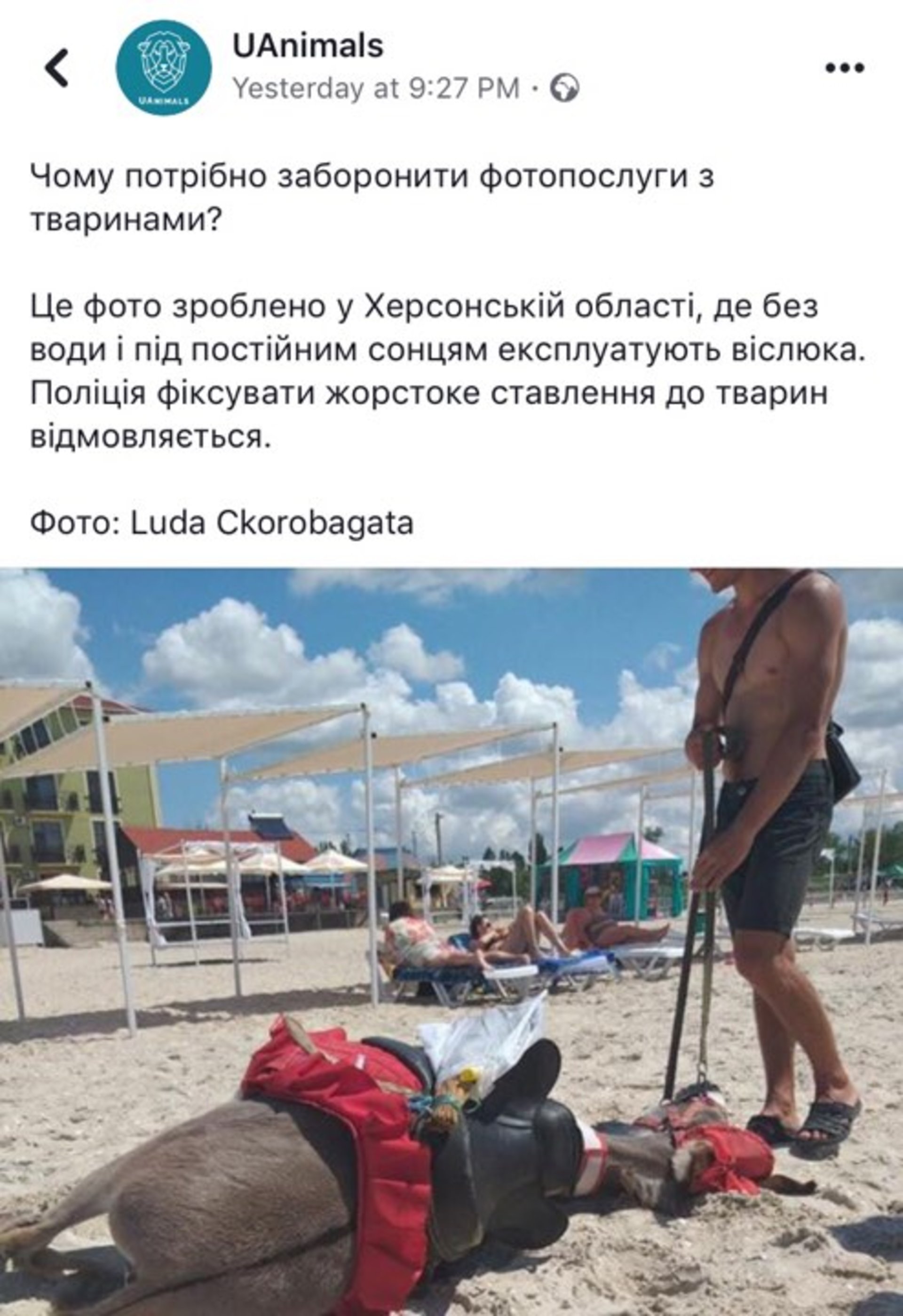 На Херсонщині від спеки та обезводення знепритомнів осел, який возив туристів