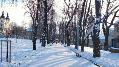 Збереження зелених зон залишається пріоритетом для Львова