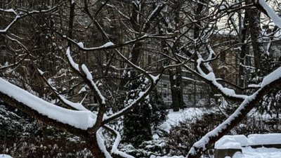 У Львові парк вкрився зимовою ковдрою