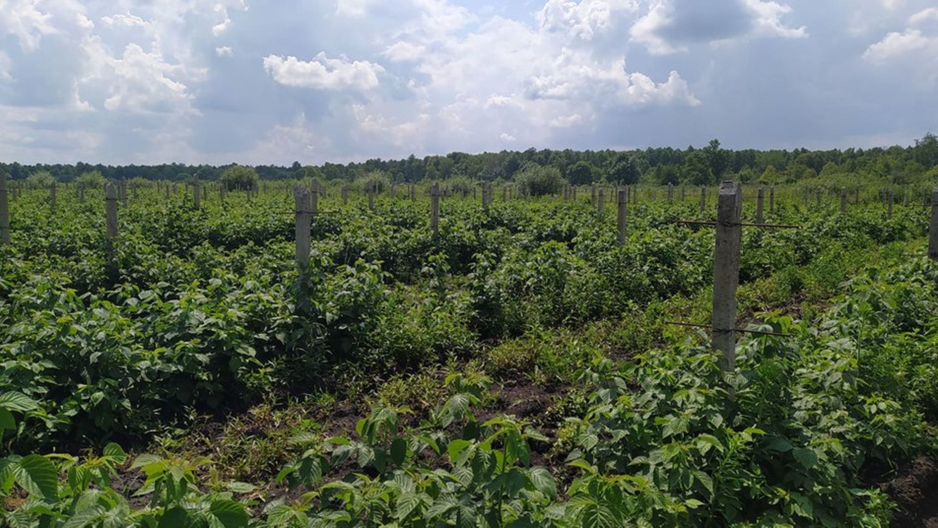 На Львівщині уклали 15 угод купівлі-продажу землі