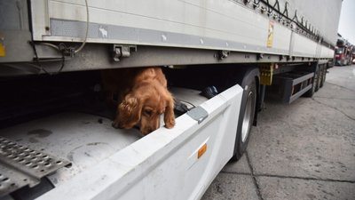 На кордоні з Польщею виявили наркотичні речовини