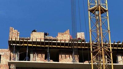 Забудовник на Пасічній сплатить понад 2,3 млн грн пайових внесків на розвиток інфраструктури Львова