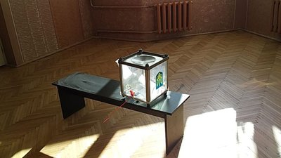 У Львові обдзвонюють виборців, щоб "показати високу явку"