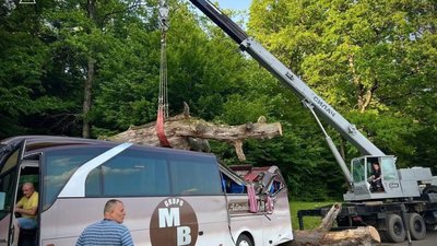 ДСНС оприлюднила фото падіння дерева на автобус