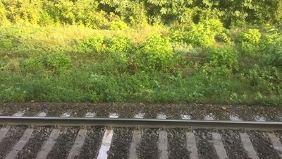 Пасажири львівського поїзда застрягли серед поля перед Києвом через поломку локомотива