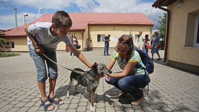 У Львові дітям та дорослим розкажуть про те, як знайти чотирилапого друга