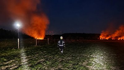 На Львівщині ліквідовано 36 пожеж в екосистемах на площі понад 2,4 га