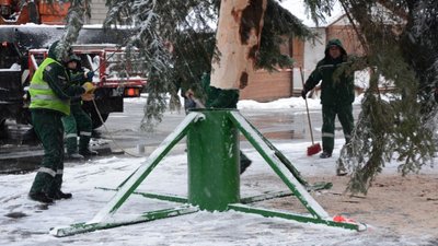 На площі перед Оперним театром встановили головну ялинку міста Львова (ФОТО, ВІДЕО)