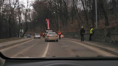 У Львові на Високому замку обрізають дерева (ФОТО)
