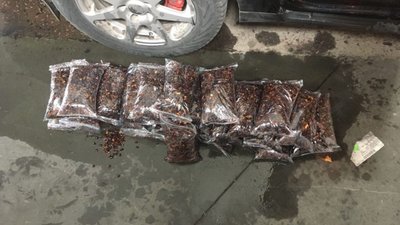 Львівські митники витягли з бензобаку іномарки рівнянки 38 кг контрабандного бурштину