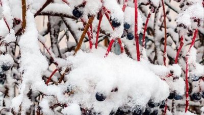У Львові очікують погіршення погодних умов