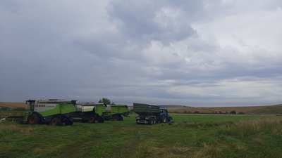 На Львівщині аграрії зібрали майже 60% врожаю ранніх культур (ФОТО, ВІДЕО)