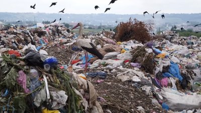 Як на Золочівському сміттєзвалищі виглядає «відсортоване» сміття (ФОТО)