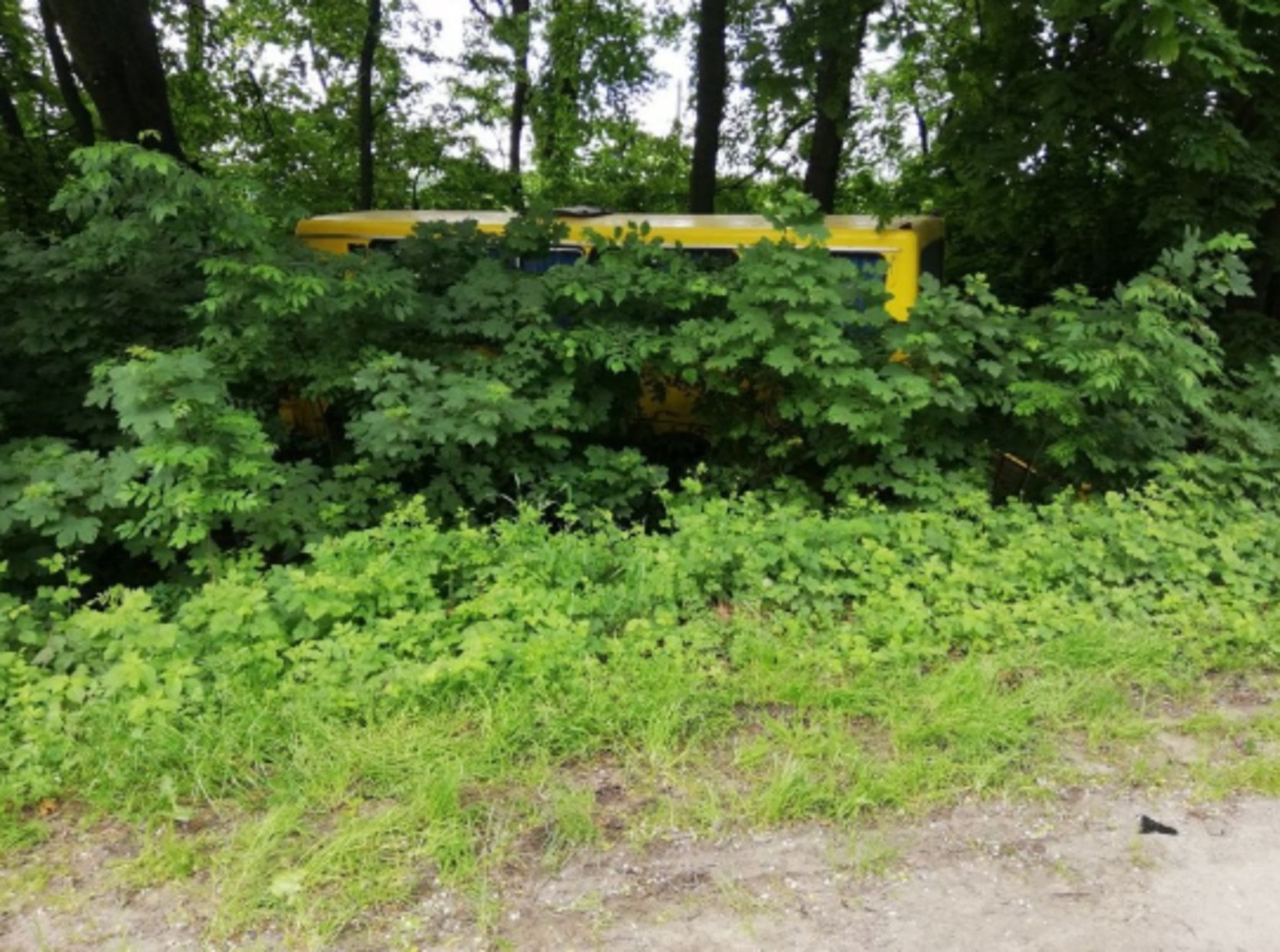 Фото: Патрульна поліція Львівської області