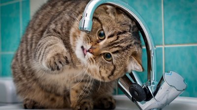 У Львові 6 будинків зилишились без гарячої води