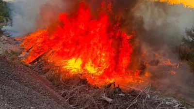 У Львові горіло сміття (ФОТО)