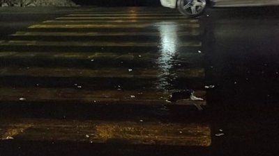 На Львівщині встановлюються обставини ДТП за участі прокурора