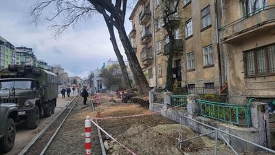 У Львові на вулиці Шевченка зрізають дерева (ФОТО)