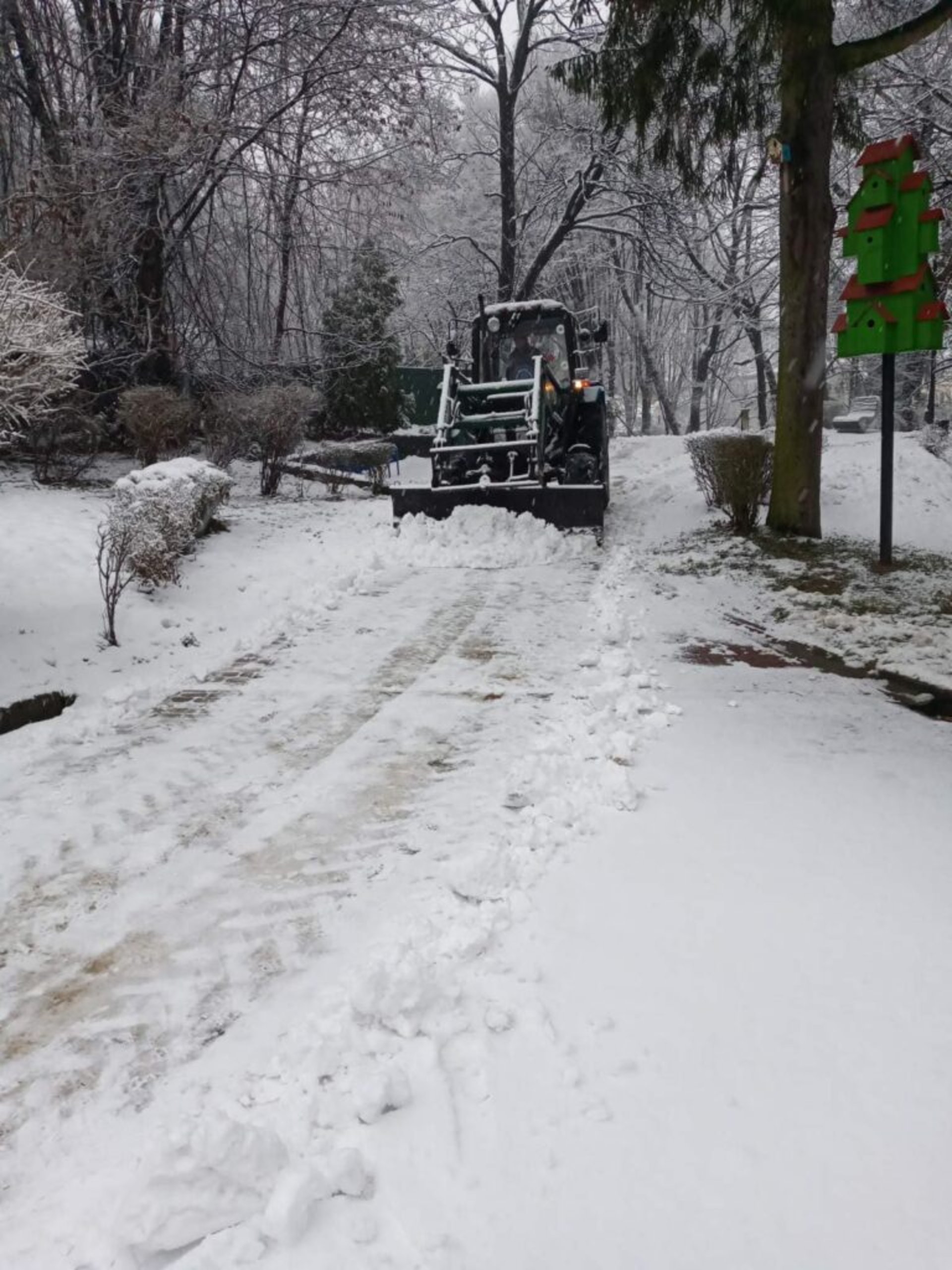 У Львові закликають уникати прогулянок у парках, фото Стрийського парку