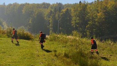 На Львівщині зникли двоє грибників: одного розшукали, пошуки іншого продовжуються