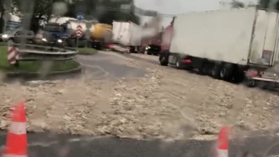 У Гамаліївці дорогу вистелили трупами курей (ВІДЕО)