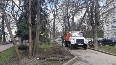 У Львові обрали міських садівників (ВІДЕО)