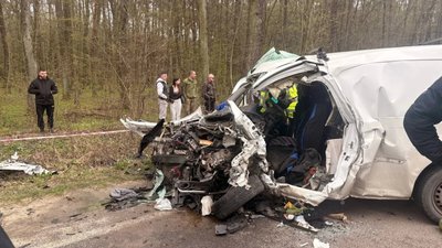ДСНС повідомила подробиці аварії у Лапаївці (ФОТО)