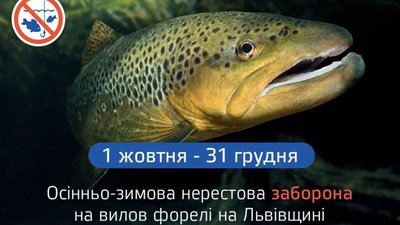 На водоймах Львівщини оголошено заборону на вилов струмкової форелі